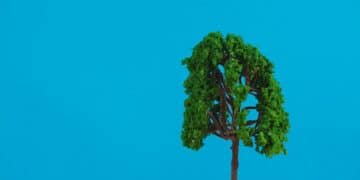 How to Develop a Sustainable Business Model for Long-Term Success - Cover Image