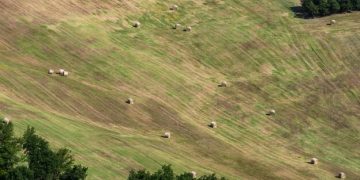 5G Expansion in Rural US: How Government Subsidies Bridge the Connectivity Gap - Cover Image