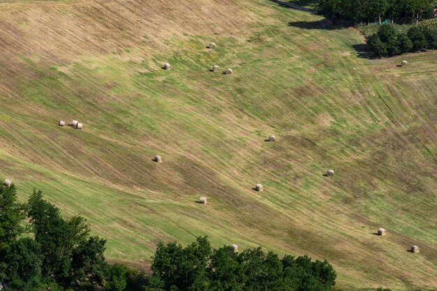 5G Expansion in Rural US: How Government Subsidies Bridge the Connectivity Gap