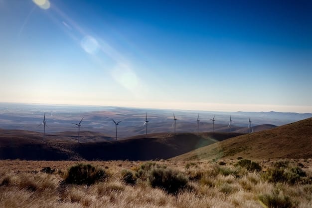 US Government’s $5B Renewable Energy Investment: Sector Impact