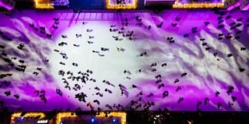 Esports Growth in US: Projecting 20% Viewership Rise by 2025 - Cover Image